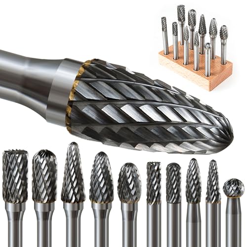 Carbide Burr Set 1/4 Shank (10 Pcs)